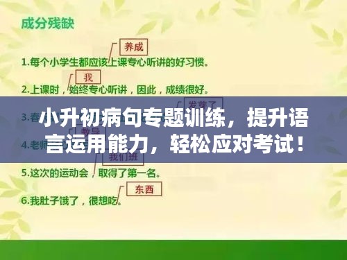 小升初病句专题训练，提升语言运用能力，轻松应对考试！