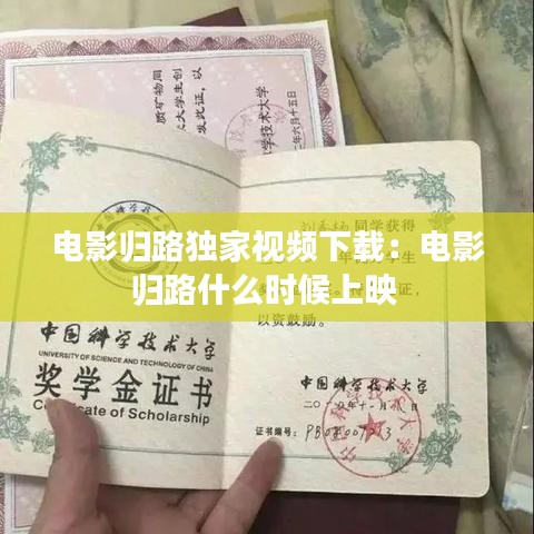 电影归路独家视频下载：电影归路什么时候上映 