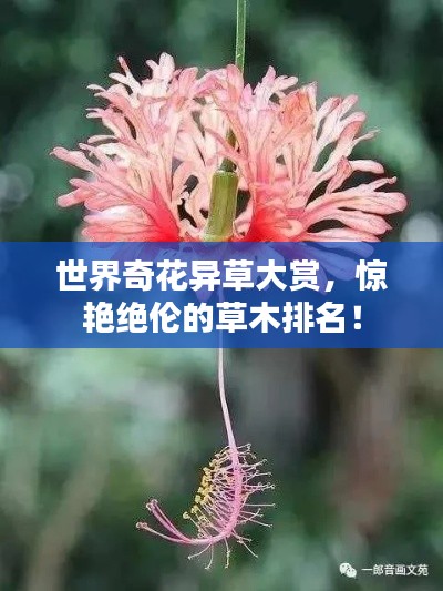 世界奇花异草大赏，惊艳绝伦的草木排名！