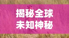 揭秘全球未知神秘动物榜单，十大未知动物排名探秘