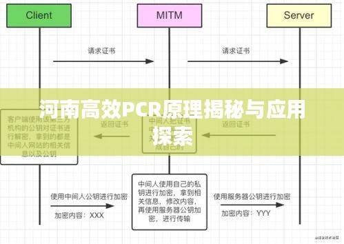 河南高效PCR原理揭秘与应用探索