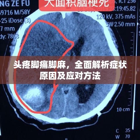 头疼脚痛脚麻，全面解析症状原因及应对方法
