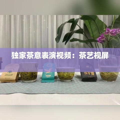 独家茶意表演视频：茶艺视屏 