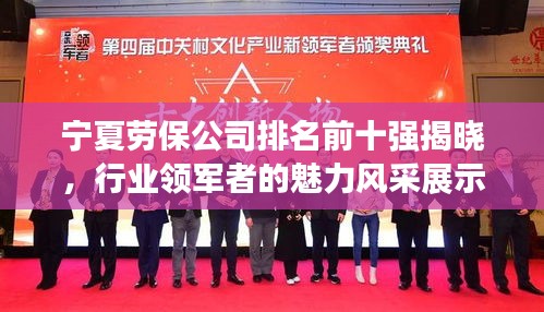 纲挈目张 第2页