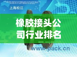 橡胶接头公司行业排名及影响力解析