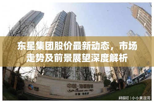 东星集团股价最新动态，市场走势及前景展望深度解析
