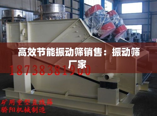 高效节能振动筛销售：振动筛厂家 