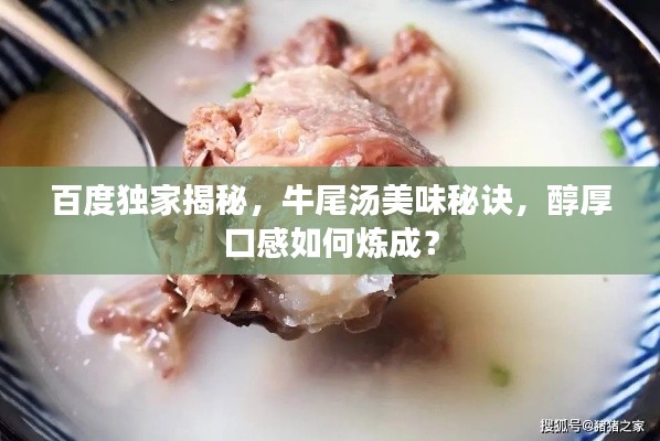 百度独家揭秘，牛尾汤美味秘诀，醇厚口感如何炼成？