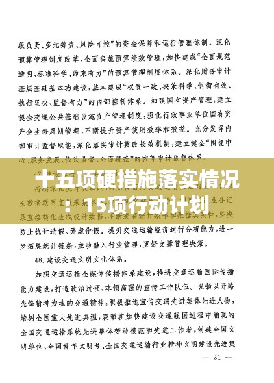 十五项硬措施落实情况：15项行动计划 