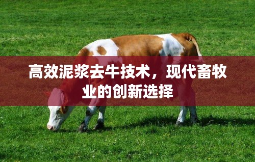 高效泥浆去牛技术，现代畜牧业的创新选择