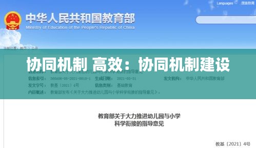 协同机制 高效：协同机制建设 