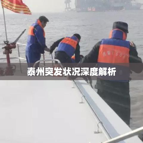 泰州突发状况深度解析