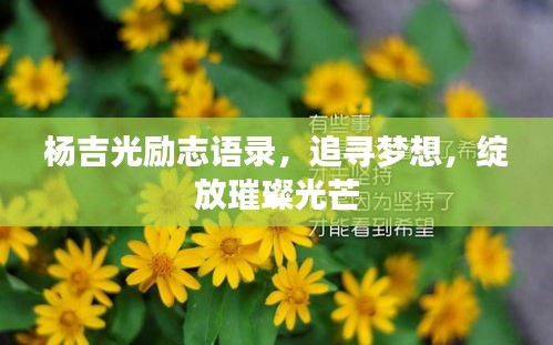 杨吉光励志语录，追寻梦想，绽放璀璨光芒
