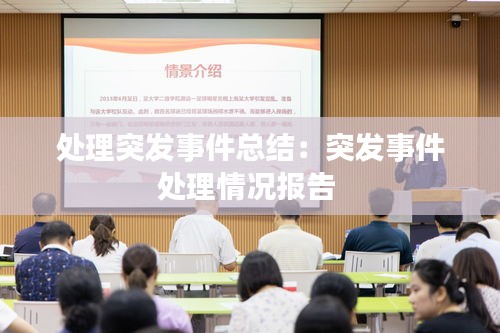 处理突发事件总结：突发事件处理情况报告 