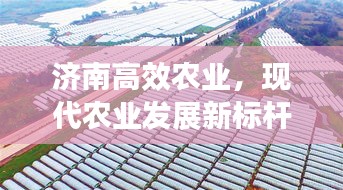 济南高效农业，现代农业发展新标杆探索之路