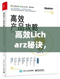 高效Licharz秘诀，掌握提升效率的关键要素