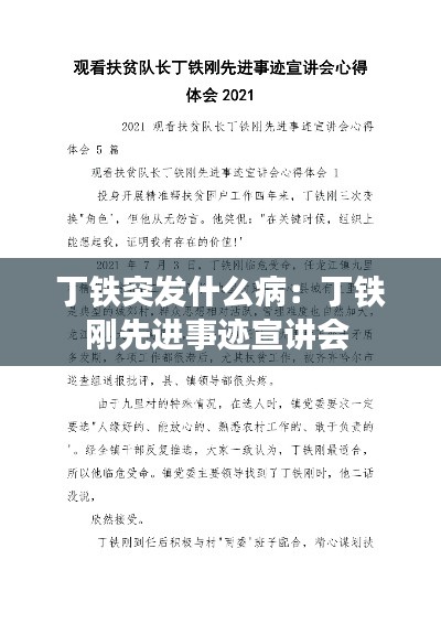 丁铁突发什么病：丁铁刚先进事迹宣讲会 