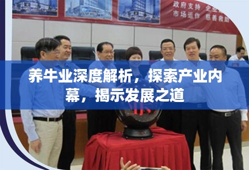 养牛业深度解析，探索产业内幕，揭示发展之道