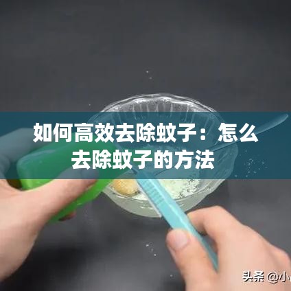 如何高效去除蚊子：怎么去除蚊子的方法 