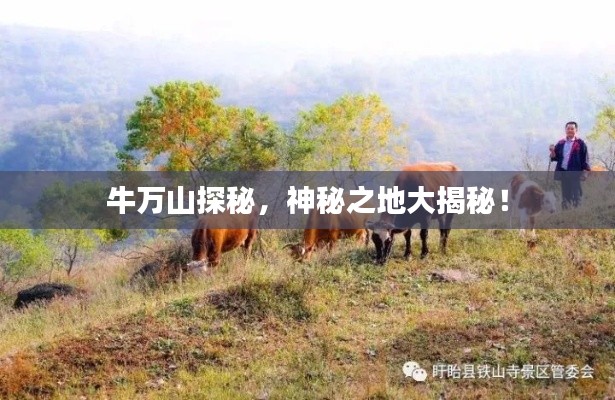 牛万山探秘，神秘之地大揭秘！