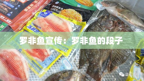 罗非鱼宣传：罗非鱼的段子 