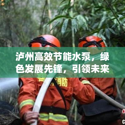泸州高效节能水泵，绿色发展先锋，引领未来力量之选