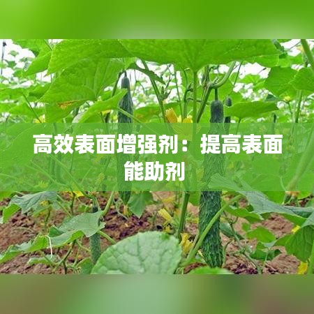 质而不俚 第2页
