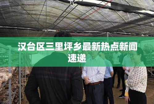汉台区三里坪乡最新热点新闻速递