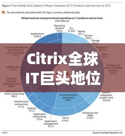 Citrix全球IT巨头地位与影响力解析