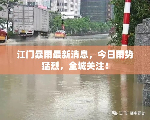 江门暴雨最新消息，今日雨势猛烈，全城关注！