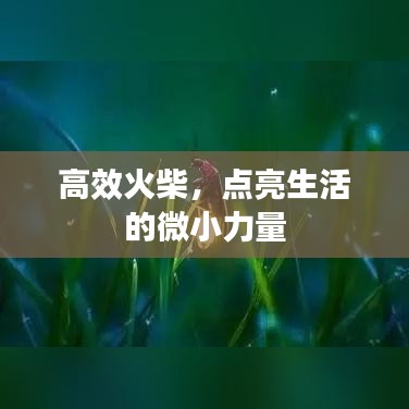 高效火柴，点亮生活的微小力量
