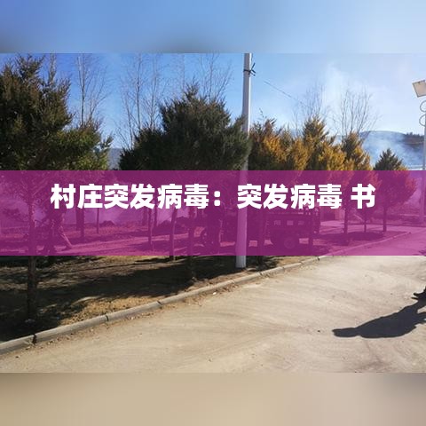村庄突发病毒：突发病毒 书 