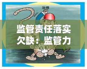 监管责任落实欠缺：监管力度不够完善,缺乏力度 