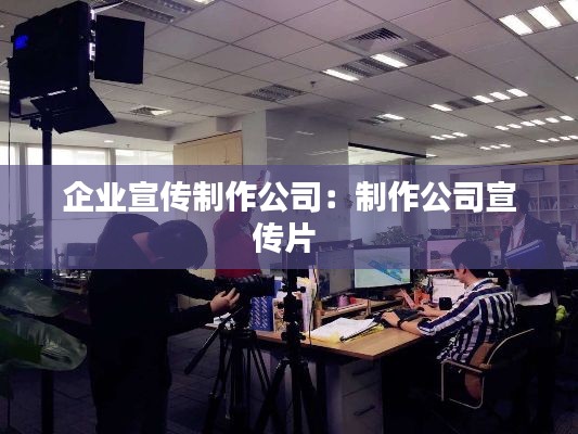 企业宣传制作公司：制作公司宣传片 