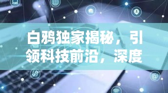白鸦独家揭秘，引领科技前沿，深度探索未知领域