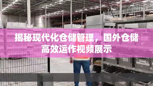 揭秘现代化仓储管理，国外仓储高效运作视频展示