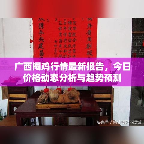 广西阉鸡行情最新报告，今日价格动态分析与趋势预测