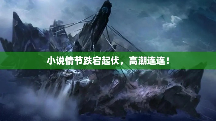 小说情节跌宕起伏，高潮连连！