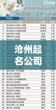 沧州起名公司权威排名榜单揭晓，专业品质铸就品牌传奇！
