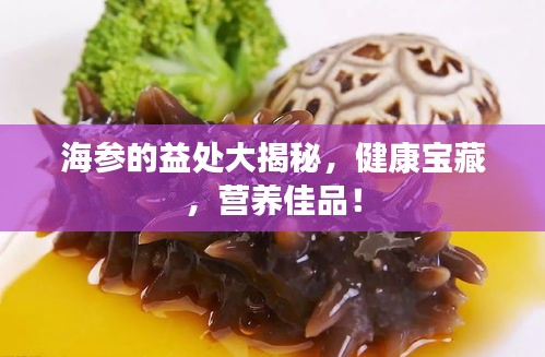 海参的益处大揭秘，健康宝藏，营养佳品！