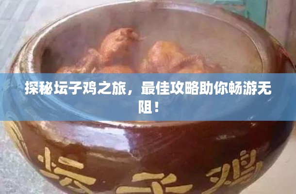 探秘坛子鸡之旅，最佳攻略助你畅游无阻！