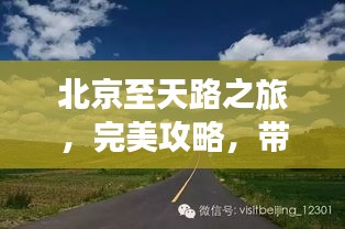 罗含梦鸟 第2页