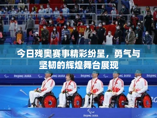 今日残奥赛事精彩纷呈，勇气与坚韧的辉煌舞台展现