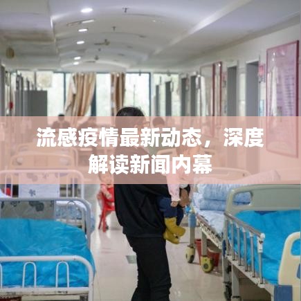 流感疫情最新动态，深度解读新闻内幕