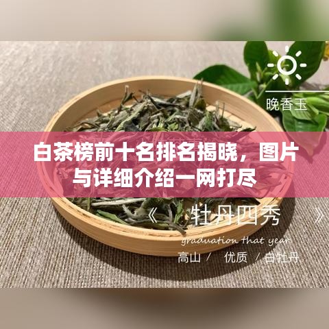 白茶榜前十名排名揭晓，图片与详细介绍一网打尽