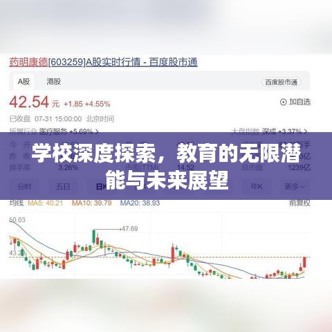 学校深度探索，教育的无限潜能与未来展望
