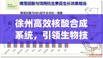 徐州高效核酸合成系统，引领生物技术革新之路