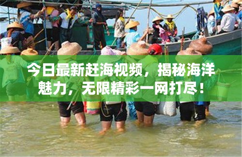 今日最新赶海视频，揭秘海洋魅力，无限精彩一网打尽！