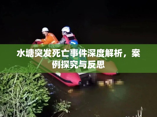 水塘突发死亡事件深度解析，案例探究与反思