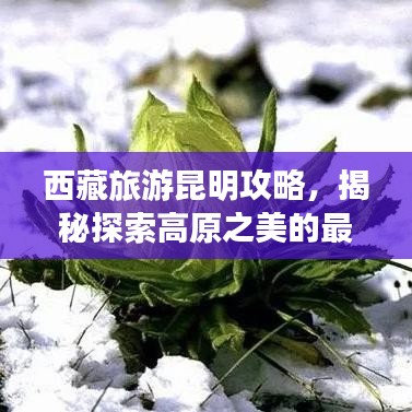 西藏旅游昆明攻略，揭秘探索高原之美的最佳路线
